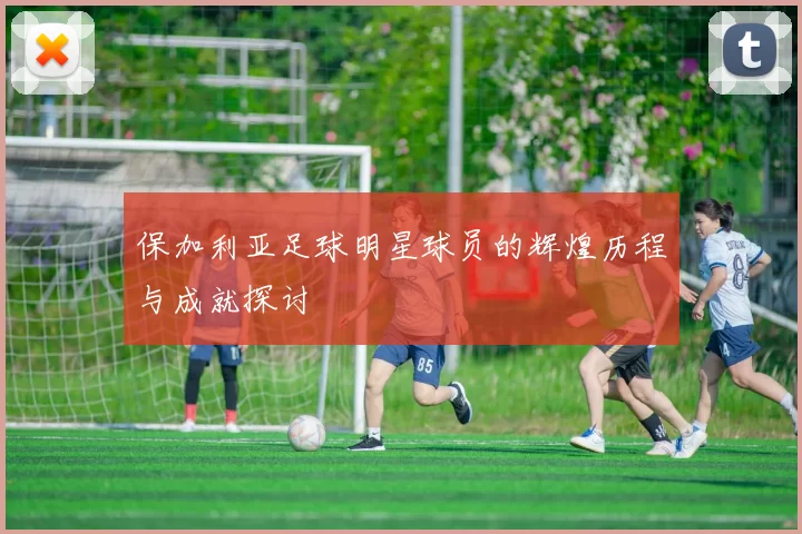保加利亚足球明星球员的辉煌历程与成就探讨