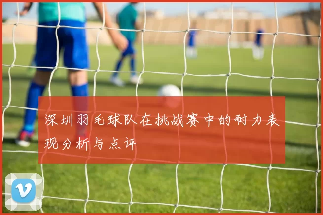 深圳羽毛球队在挑战赛中的耐力表现分析与点评