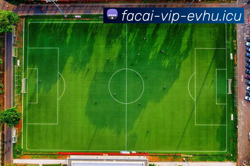 App Interface Preview